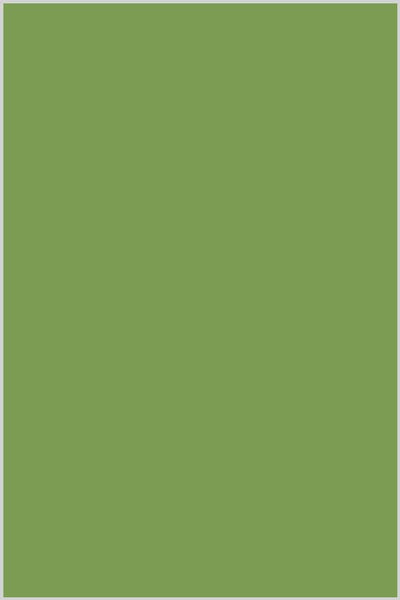 Genziana Wool Thread 350m #328 Lime Green