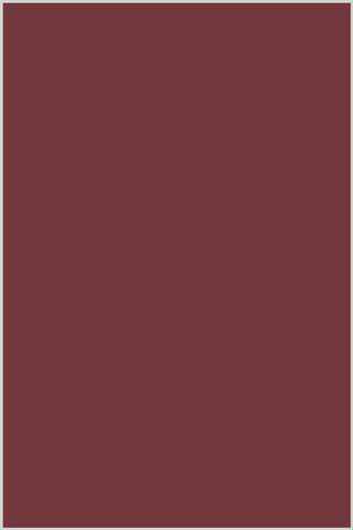 Genziana Wool Thread 350m #555 Reddish Brown