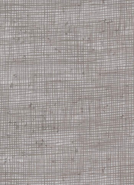 Ghostly Greetings Spiders Netting By Deb Strain For Moda Granite Grey