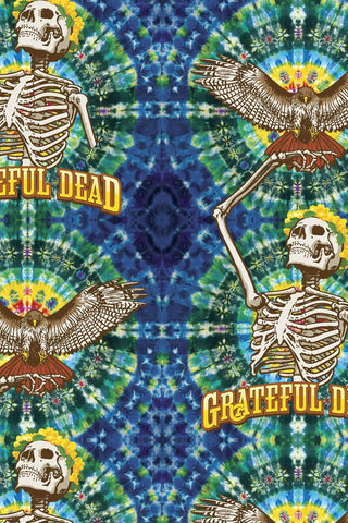 Grateful Dead - Skeleton Hawk