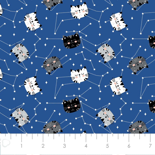 Having Fun Kitten Constellations Royal