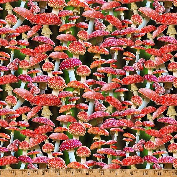 Homestead Mushrooms By Hoffman Red