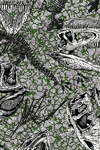 Jurassic Dinosaur Fossils Grey