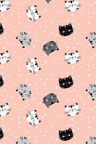 Kitten Constellations Flannel Peach / Multi