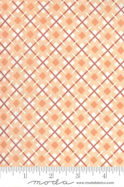 Kitty Corn Plaid By Urban Chiks For Moda Bubble Gum