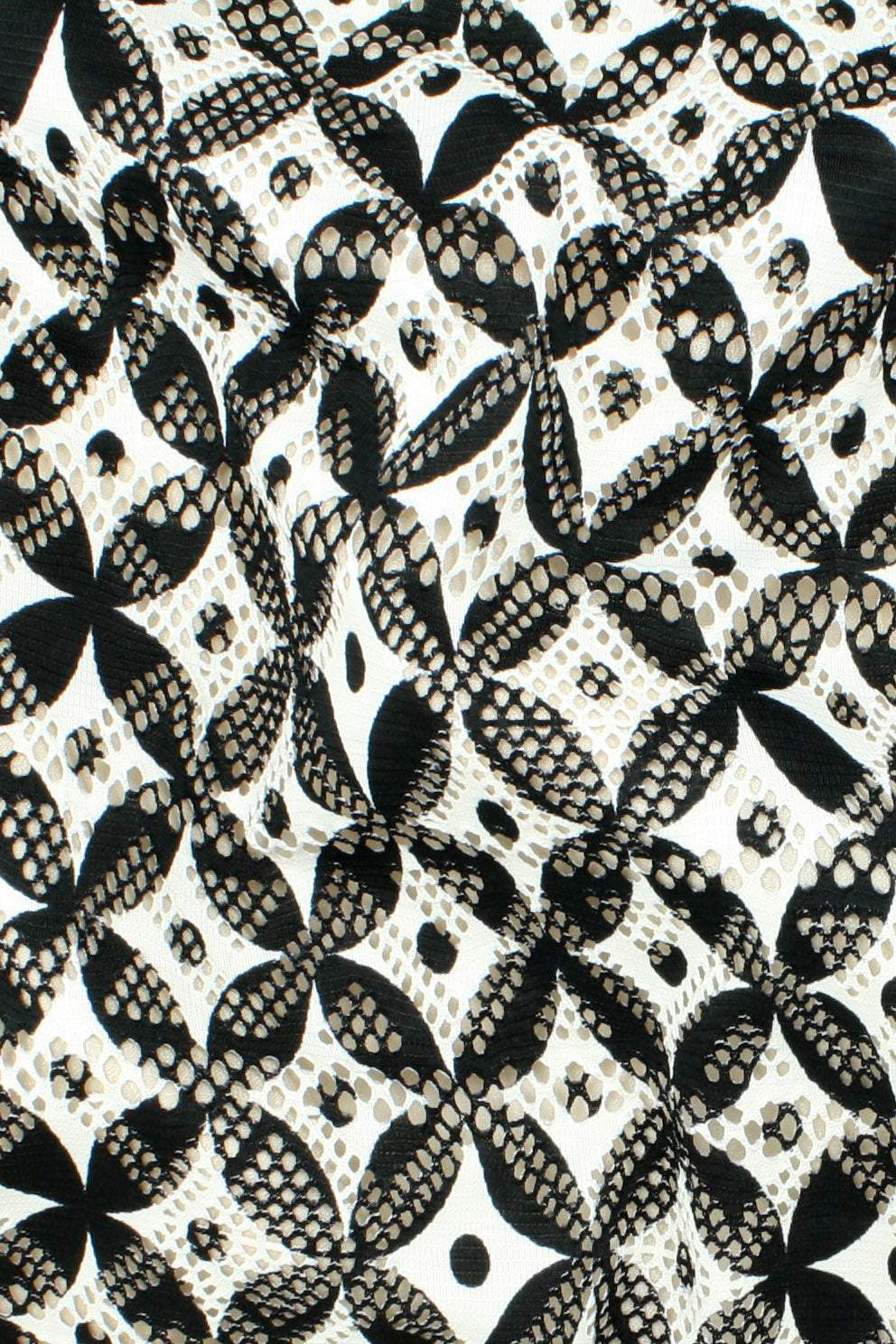 Lacey Print Black / Ivory