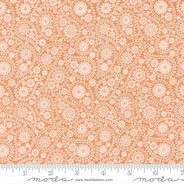 Late October Paisley By Sweetwater For Moda Orange / White