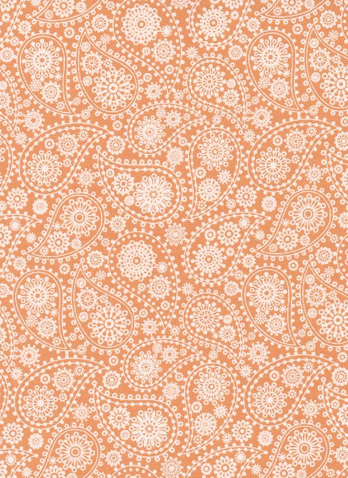 Late October Paisley By Sweetwater For Moda Orange / White