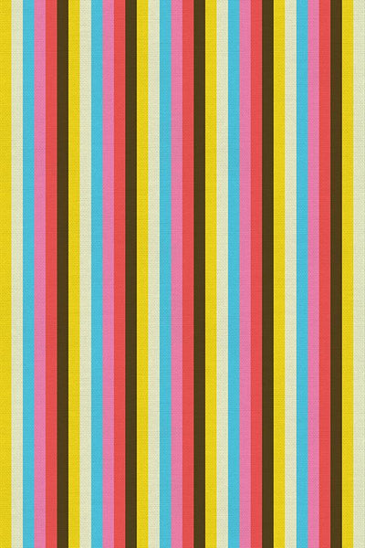 Let the Good Times Roll by Lysa Flower Stripe Multi