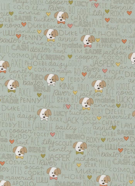 Lucky Buddies By Sweetwater For Moda Sky