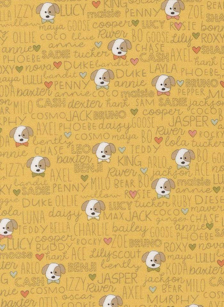 Lucky Buddies By Sweetwater For Moda Sun