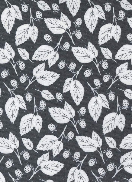 Midnight In The Garden Blackberry Bramble By Sweetfire Road For Moda Charcoal / White