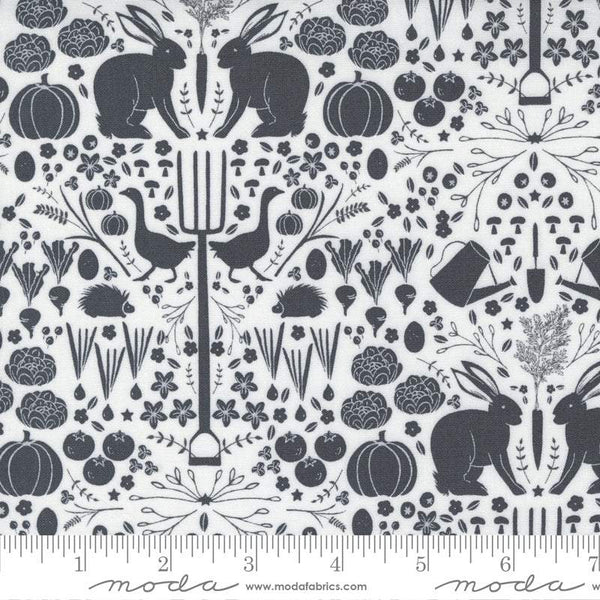 Midnight In The Garden Into The Garden By Sweetfire Road For Moda White / Charcoal