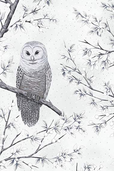 Midnight Perch Owl December / Silver