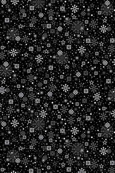 Midnight Perch Snowflakes Onyx / Silver