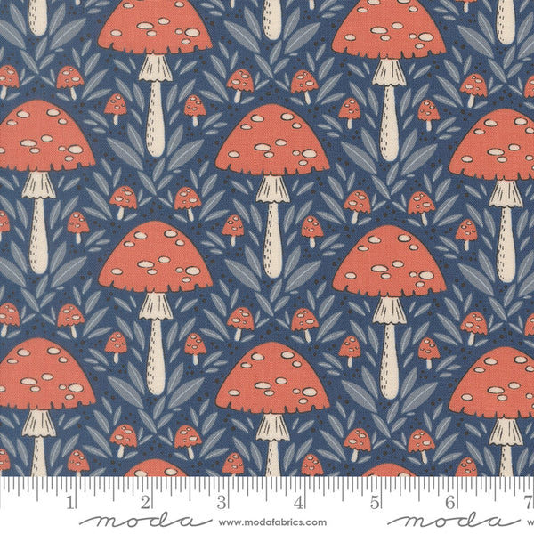 Nature’s Sketchbook Mushrooms By Elena Amo For Moda Twilight