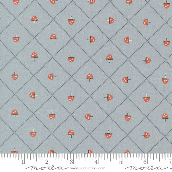 Natures Sketchbook Mushroom & Grid By Elena Amo For Moda Sky