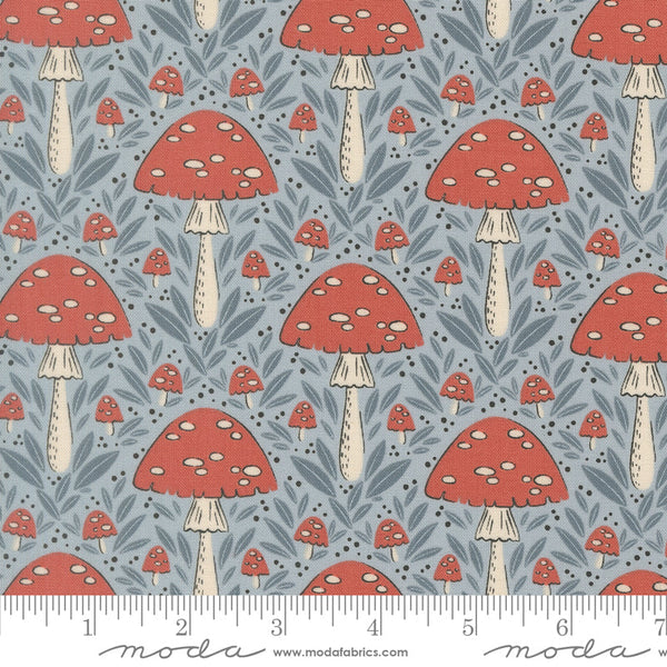 Natures Sketchbook Mushrooms By Elena Amo For Moda Sky