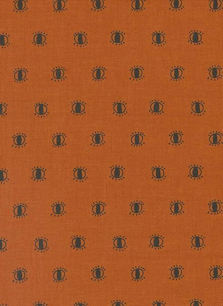 Noir Watching Eyes By Alli K. For Moda Pumpkin