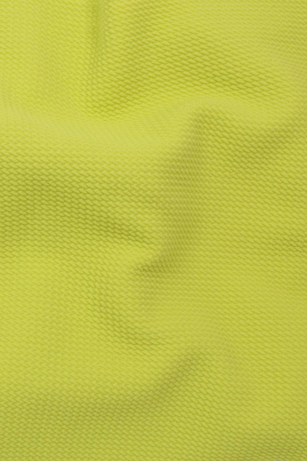 Paola Double Knit Lime