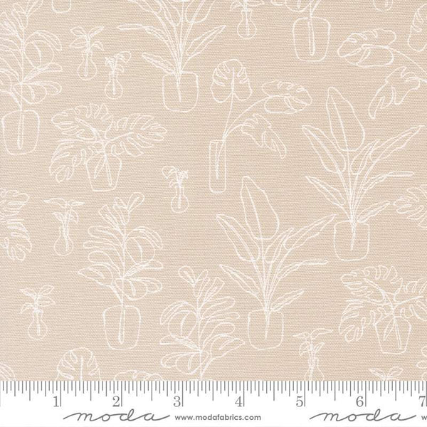 Potted Canvas Indoor Jungle By Kiley's Quilt Room For Moda Clay