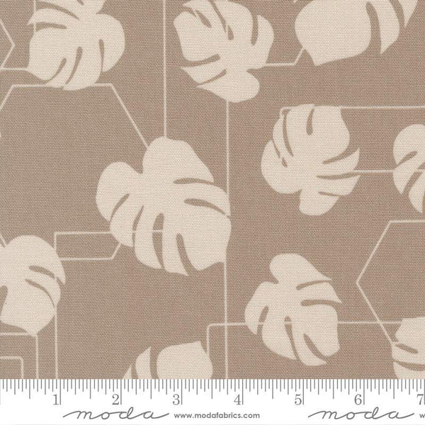 Potted Canvas Monstera Geo By Kiley's Quilt Room For Moda Ash