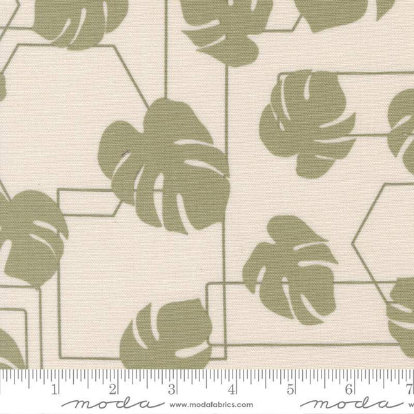 Potted Canvas Monstera Geo By Kiley's Quilt Room For Moda Stone