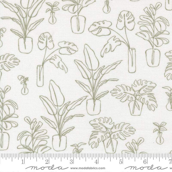 Potted Indoor Jungle By Kiley's Quilt Room For Moda Cream