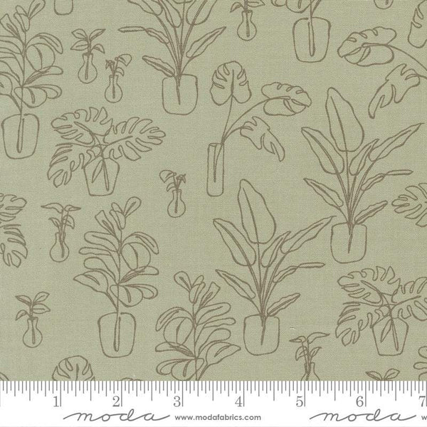 Potted Indoor Jungle By Kiley's Quilt Room For Moda Sage