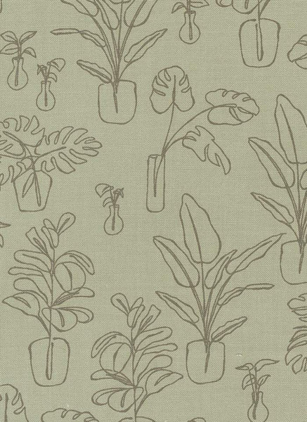 Potted Indoor Jungle By Kiley's Quilt Room For Moda Sage