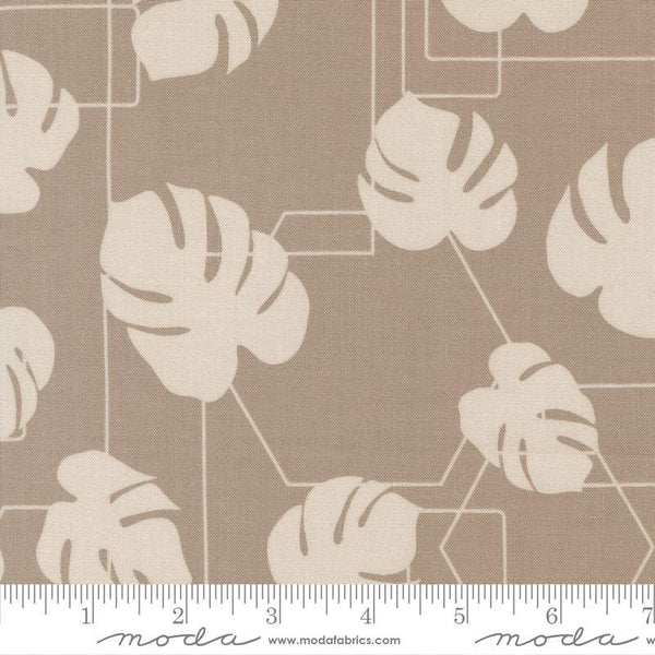 Potted Monstera Geo By Kiley's Quilt Room For Moda Ash