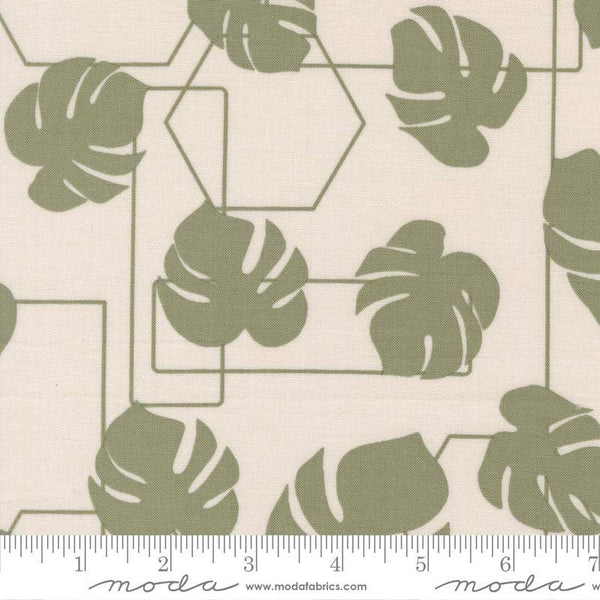Potted Monstera Geo By Kiley's Quilt Room For Moda Stone