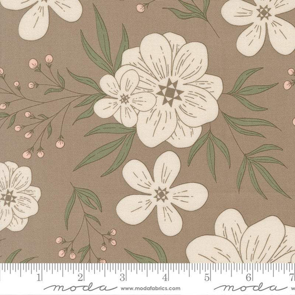 Potted Star Bloom By Kiley's Quilt Room For Moda Ash