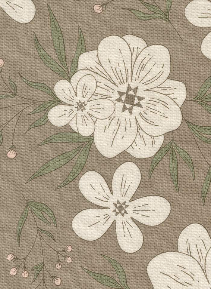 Potted Star Bloom By Kiley's Quilt Room For Moda Ash