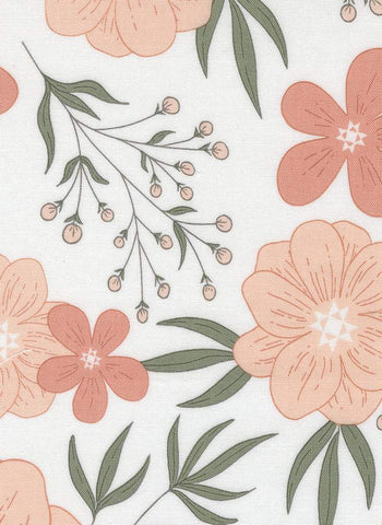 Potted Star Bloom By Kiley's Quilt Room For Moda Cream