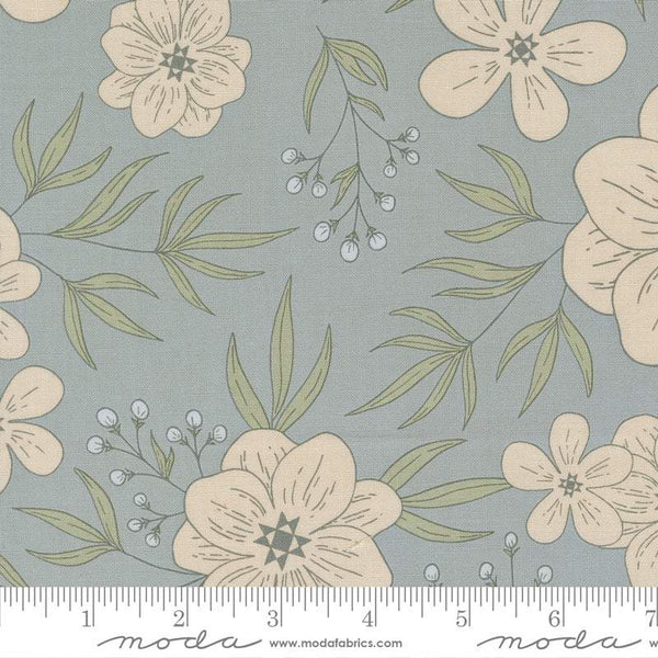 Potted Star Bloom By Kiley's Quilt Room For Moda Mist