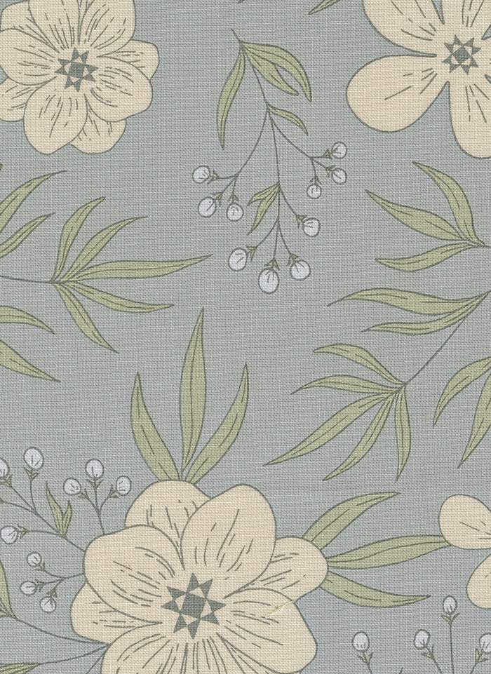 Potted Star Bloom By Kiley's Quilt Room For Moda Mist