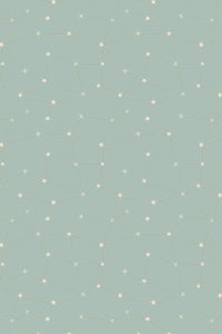Savanna Starry Night By Carys Mula For Cotton + Steel Fabrics Look Into The Stars
