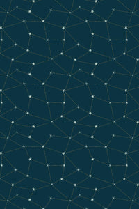 Savanna Starry Night By Carys Mula For Cotton + Steel Fabrics Under The Stars