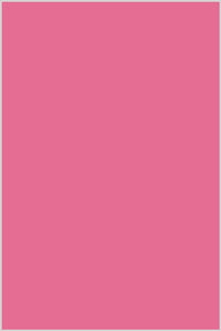 Sevenberry 80 Square Cotton Bright Pink