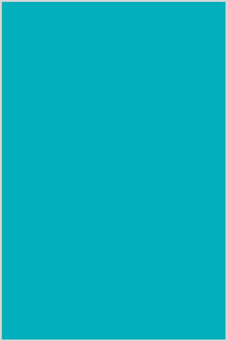 Sevenberry 80 Square Cotton Turquoise