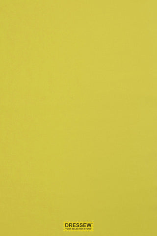 Sevenberry Kobe Cactus