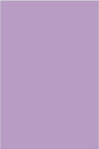 Sevenberry Kobe Lavender