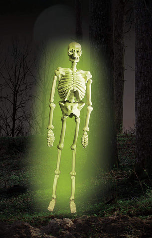 Skeleton 5 feet