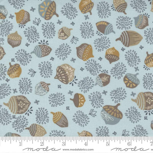 Slow Stroll Acorn Toss By Fancy That Design House & Co. For Moda Sky