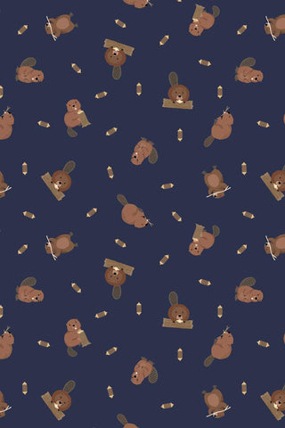 Small Things Rivers & Creeks Beavers By Lewis & Irene Ink