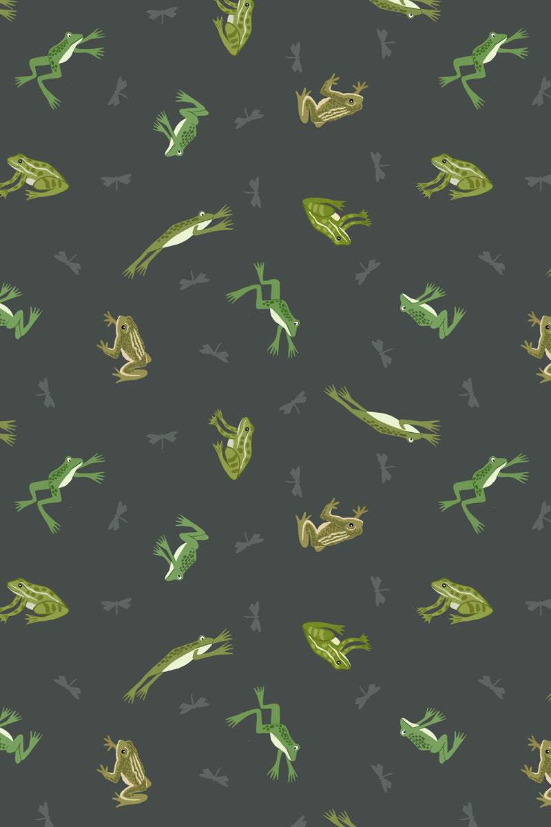 Small Things Rivers & Creeks Frogs & Toads By Lewis & Irene Swamp