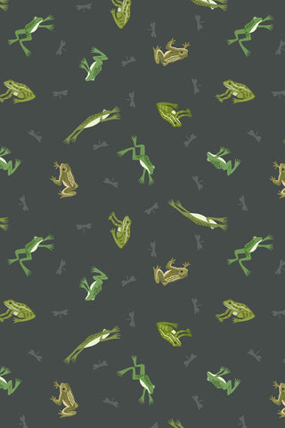 Small Things Rivers & Creeks Frogs & Toads By Lewis & Irene Swamp