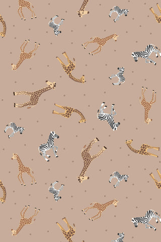 Small Things Wild Animals Giraffes & Zebras By Lewis & Irene Biscuit