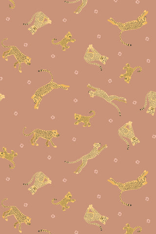 Small Things Wild Animals Leopards & Cheetahs By Lewis & Irene Tan